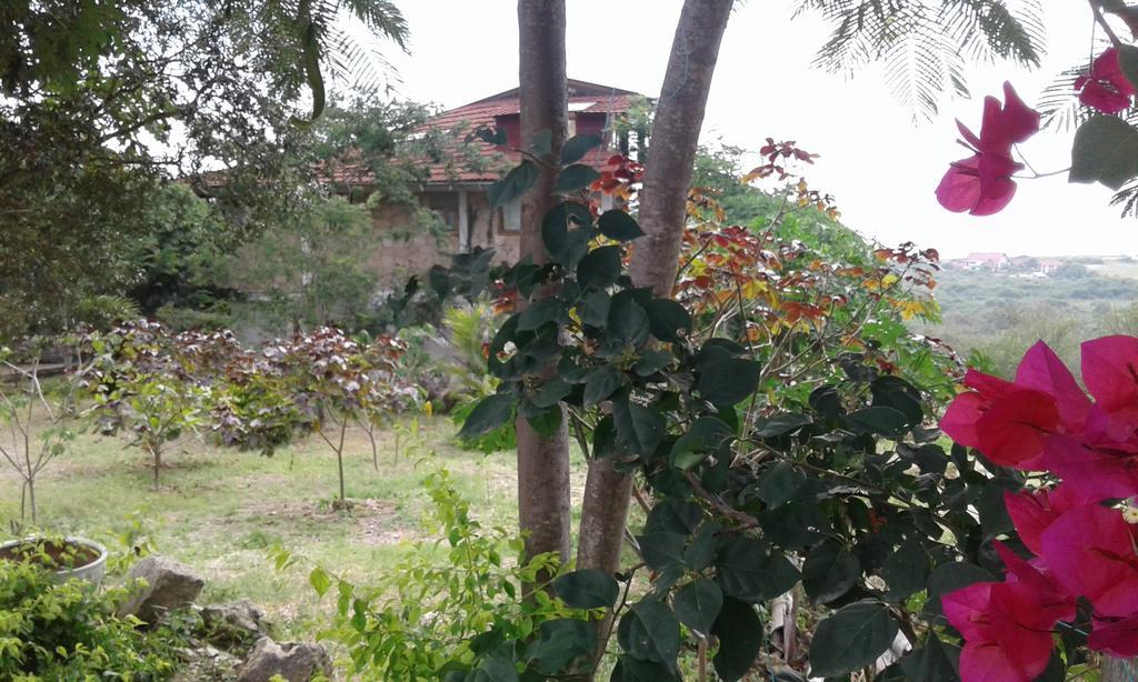Puerto López Maremonti Bed & Breakfast מראה חיצוני תמונה