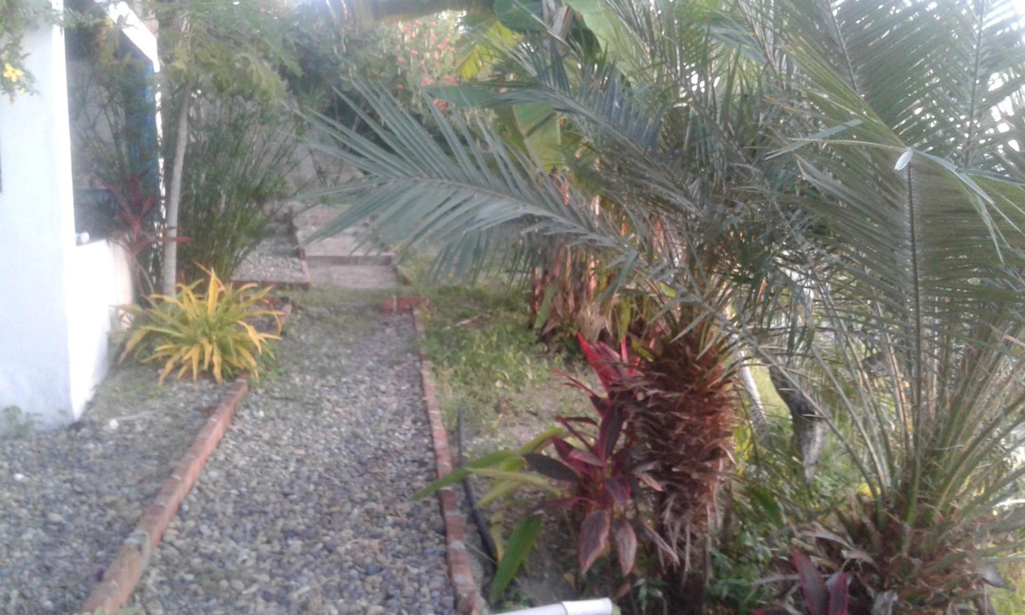 Puerto López Maremonti Bed & Breakfast מראה חיצוני תמונה
